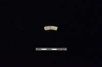 藏品(陶環)的圖片